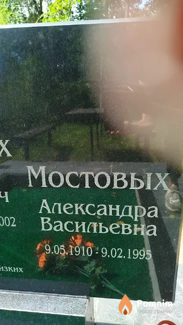 Мостовых Александра Васильевна