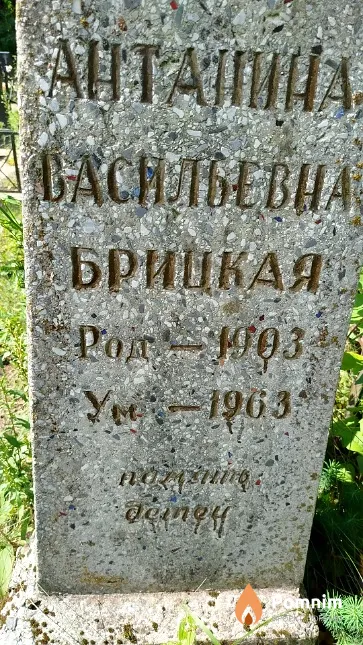 Брицкая Антанина Васильевна