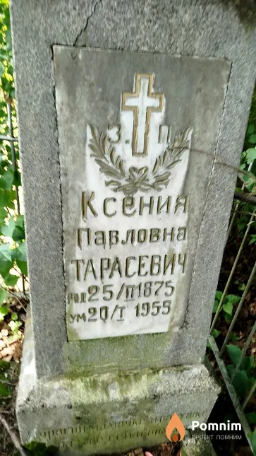 Тарасевич Ксения Павловна