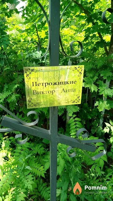 Петрожицкая Анна