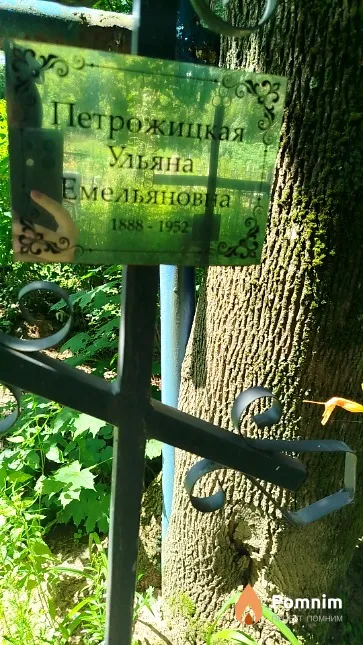 Петрожицкая Ульяна Емельяновна