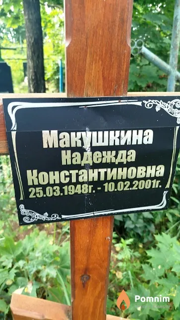 Макушкина Надежда Константиновна