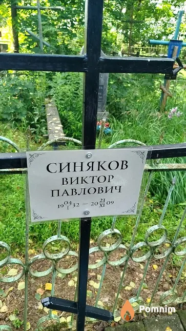 Синяков Виктор Павлович