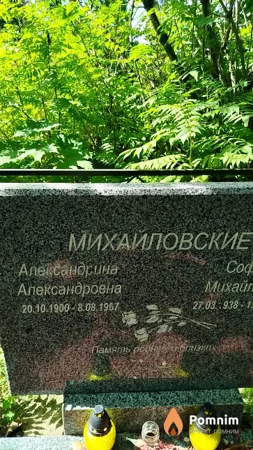 Михайловские Александрина Александровна