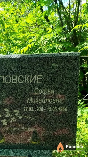 Михайловские Софья Михайловна