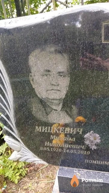 Мицкевич Mихаил Николаевич