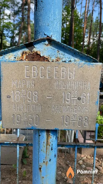 Евсеев Анатолий Васильевич
