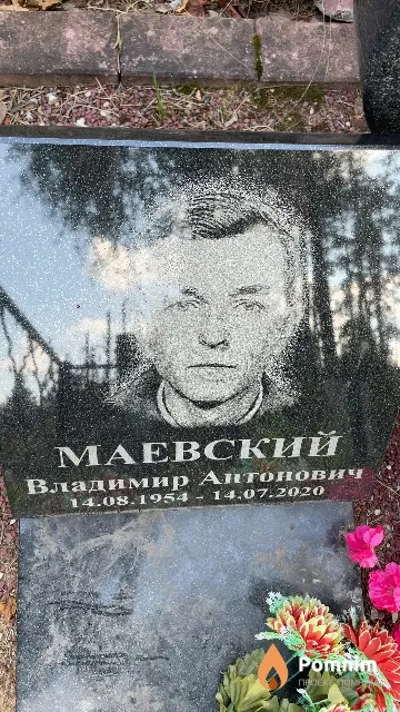 Маевский Владимир Антонович