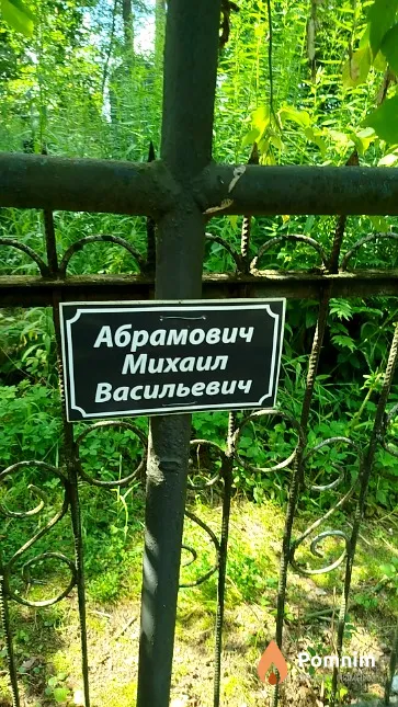 Абрамович Михаил Васильевич