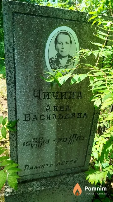 Чичина Aнна Васильевна