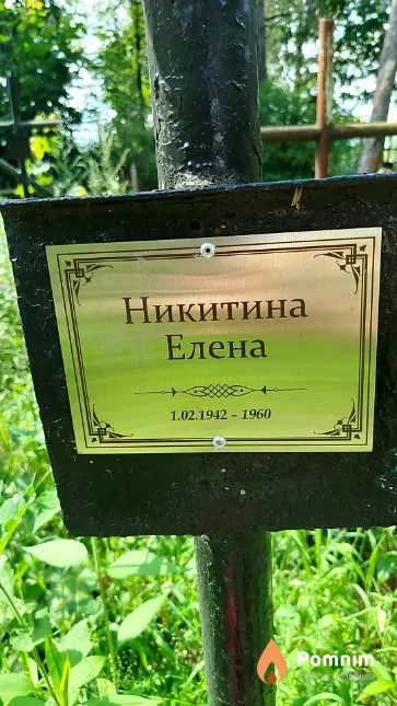 Никитина Елена