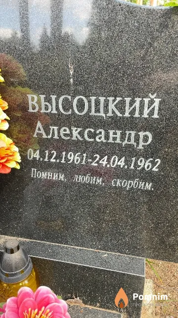 Высоцкий Александр