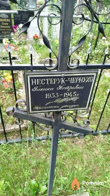 Нестерук-Чернухо Галина Петровна