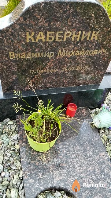 Каберник Владимир Михайлович