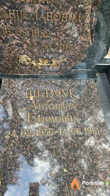 Шевчук Антонина Ефимовна