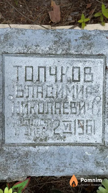 Толчков Владимир Николаеви