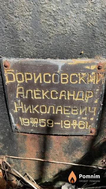 Борисовский Александр Николаевич