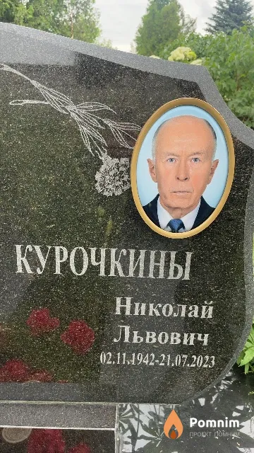 Курочкин Николай Львович