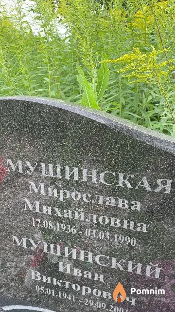 Мушинская Мирослава Михайловна