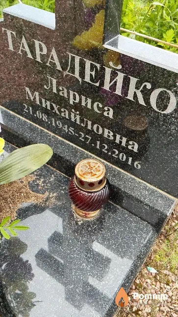 Тарадейко Лариса Михайловна
