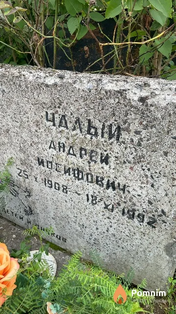 Чалый Андрей Иосифович