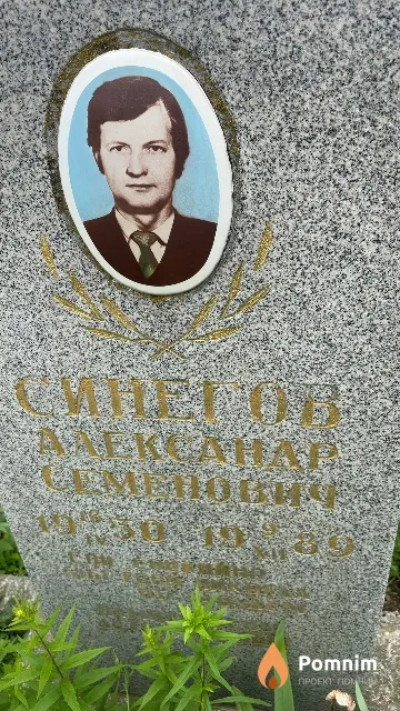 Синегов Александр Семенович