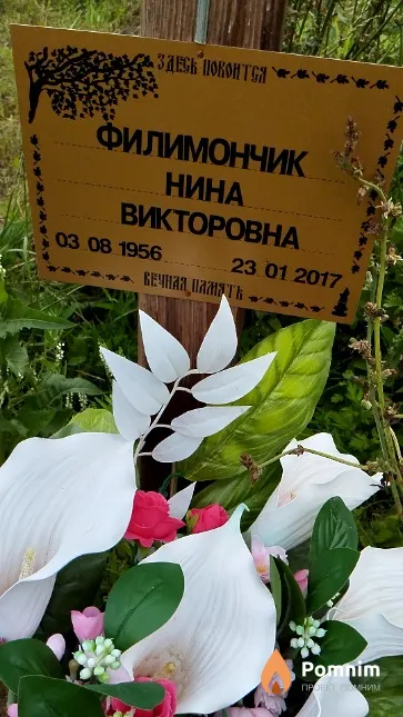 Филимончик Нина Викторовна