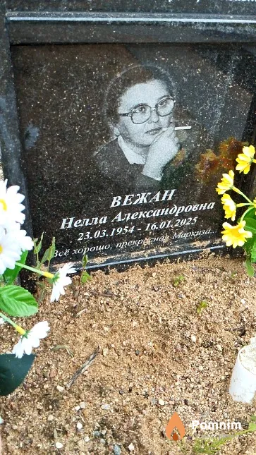 Вежан Нелла Александровна