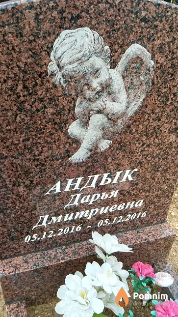 Андык Дарья Дмитриевна