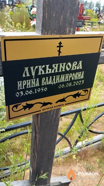 Лукьянова Ирина Владимировна