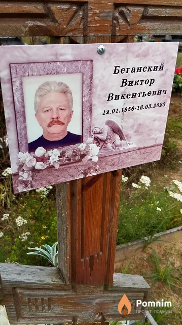 Беганский Виктор Викентьевич