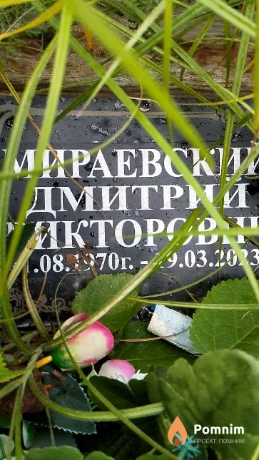 Мираевский Дмитрий Викторович
