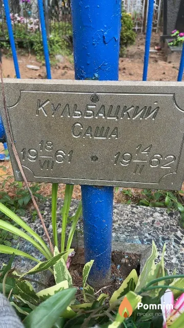 Кульбацкий Caша