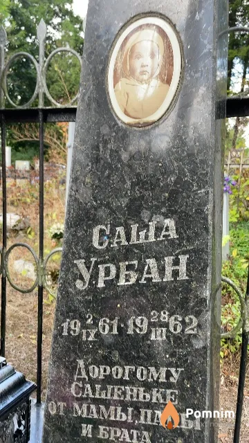Урбан Саша