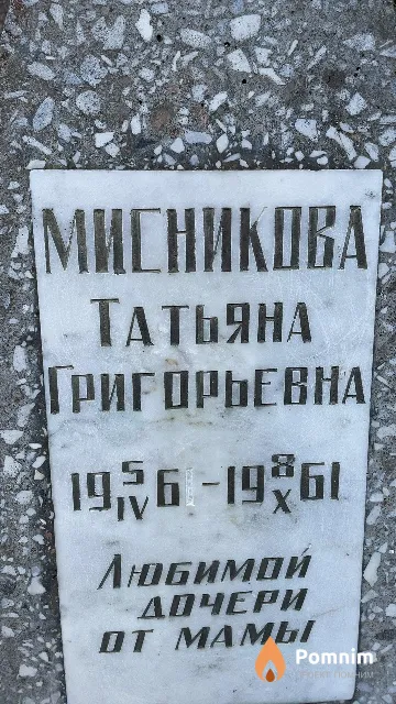 Мисникова Татьяна Григорьевна