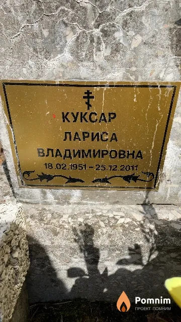 Куксар Лариса Владимировна