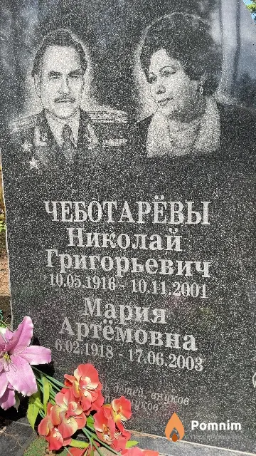 Чеботарёв Николай Григорьевич