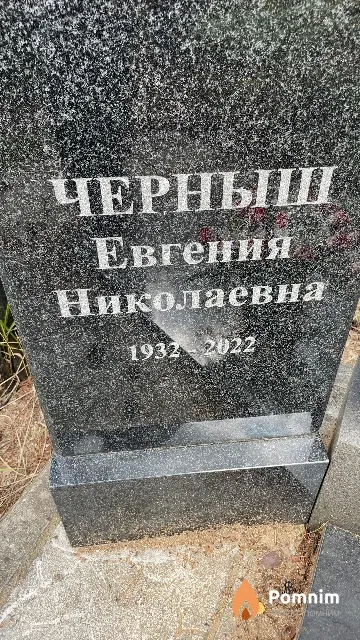 Черныш Евгения Николаевна
