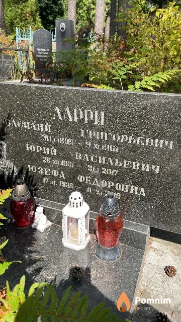 Ларри Юрий Васильевич