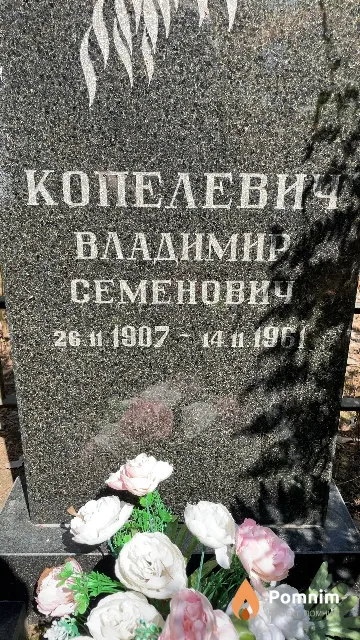 Копелевич Владимир Семенович