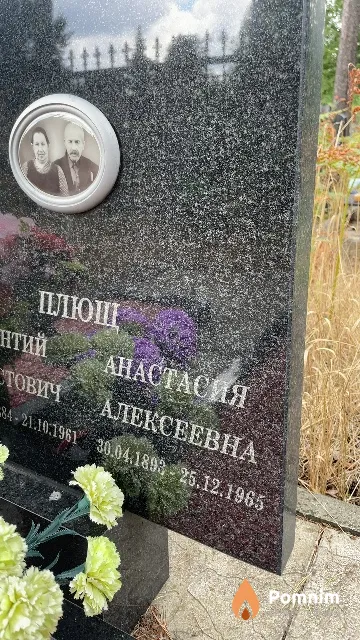 Плющ Анастасия Алексеевна