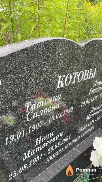 Котова Татьяна Силовна
