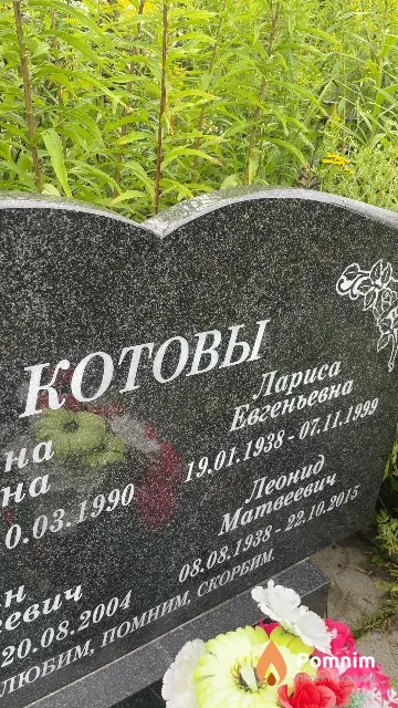 Котова Лариса Евгеньевна