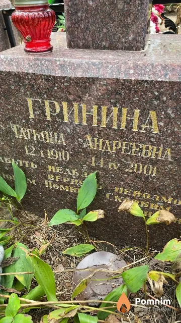 Гринина Татьяна Андреевна