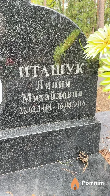 Пташук Лилия Михайловна
