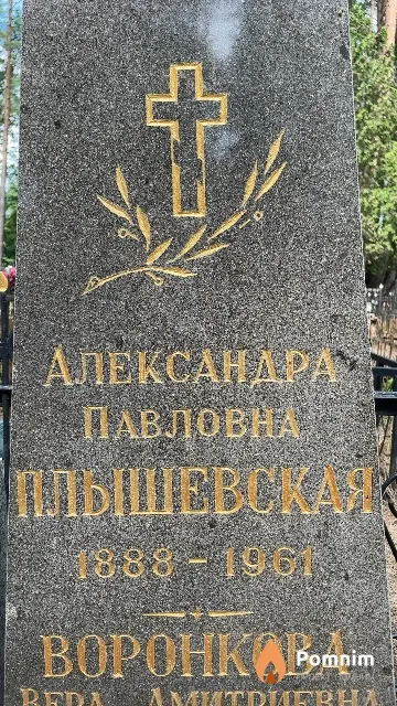 Плышевская Александра Павловна