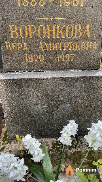 Воронкова Вера Дмитриевна