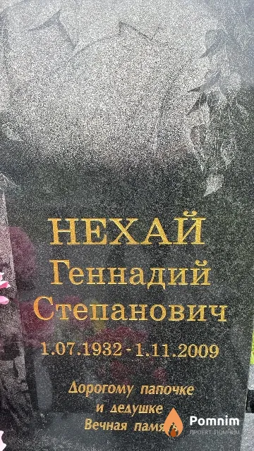 Нехай Геннадий Степанович
