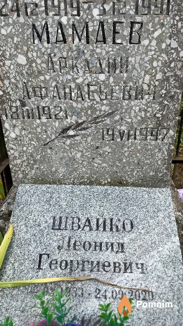 Мамаев Аркадий Афанасьевич