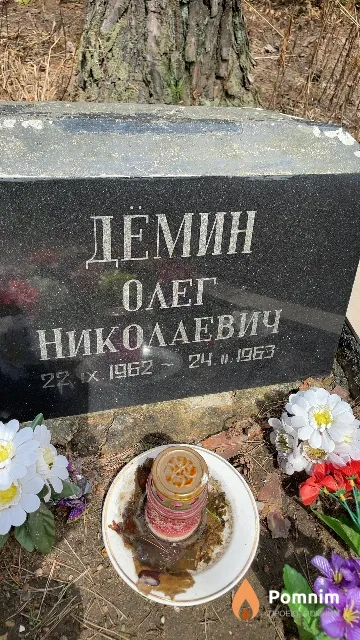 Дёмин Олег Николаевич